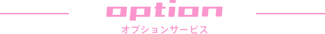 オプションサービス